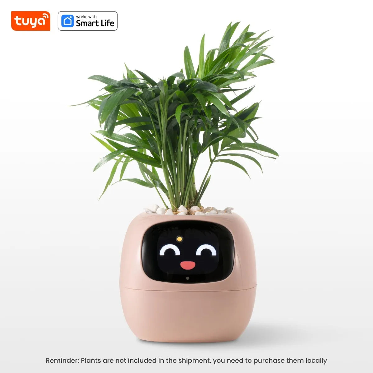 Smart Planter Funny Faces