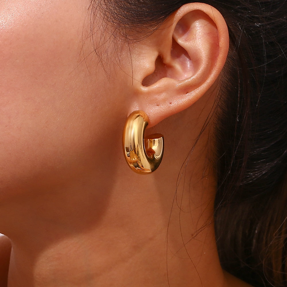 Hollow Chunky Earrings