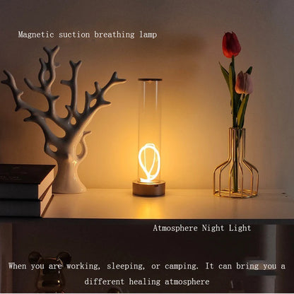 Magnetic Suction Light