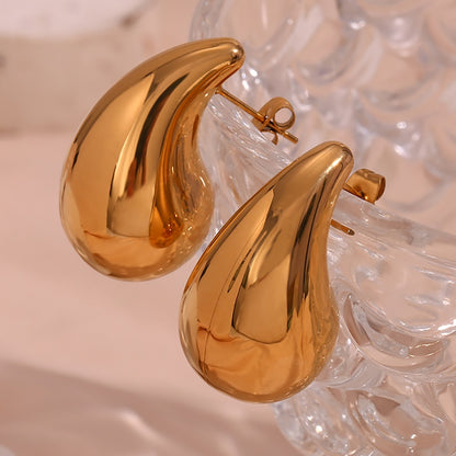 Drop Shape Earrings